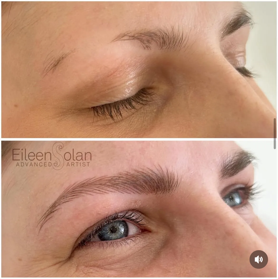 Microblading results by Eileen Solan
